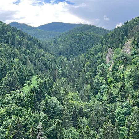 Arboro Borovets Gardens E68 Apartment Bagian luar foto