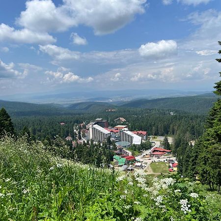 Arboro Borovets Gardens E68 Apartment Bagian luar foto