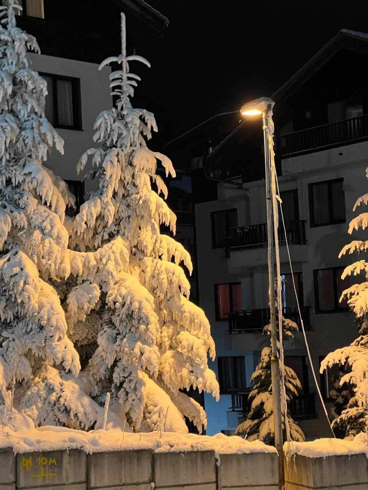 Arboro Borovets Gardens E68 Apartment Bagian luar foto