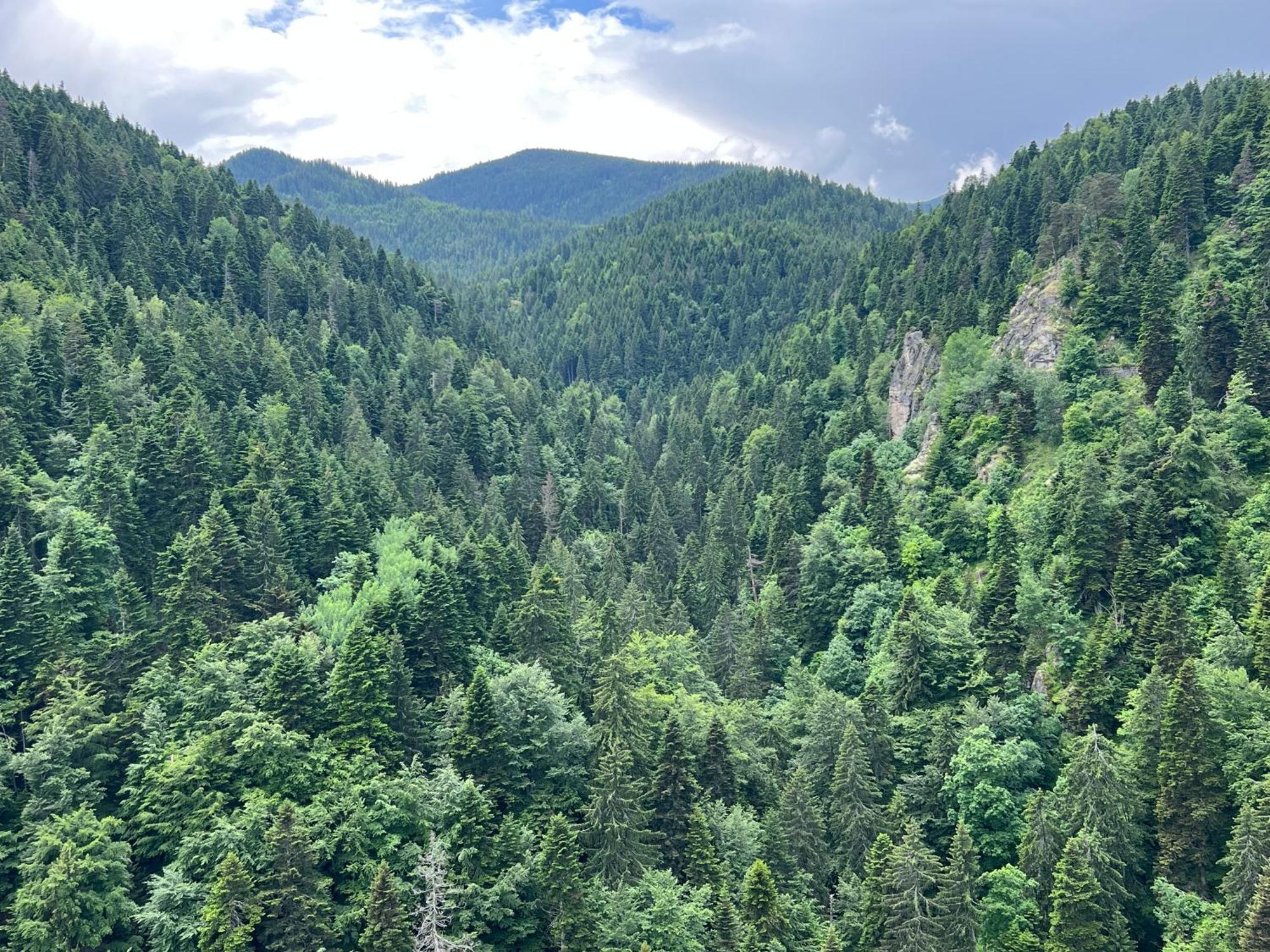 Arboro Borovets Gardens E68 Apartment Bagian luar foto
