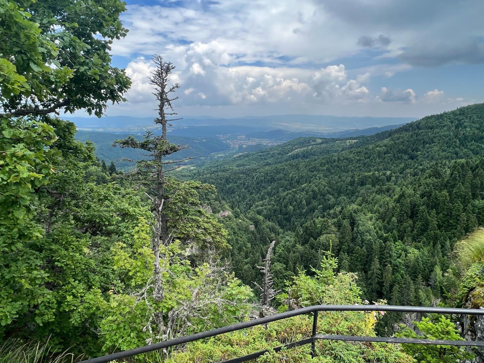 Arboro Borovets Gardens E68 Apartment Bagian luar foto