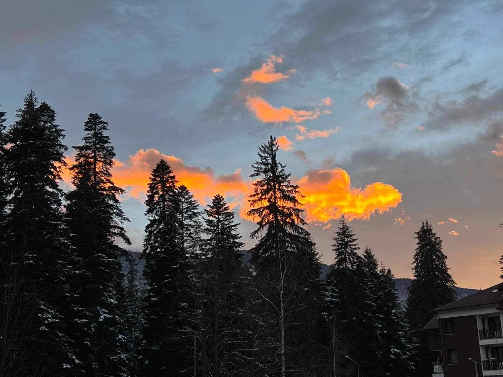 Arboro Borovets Gardens E68 Apartment Bagian luar foto