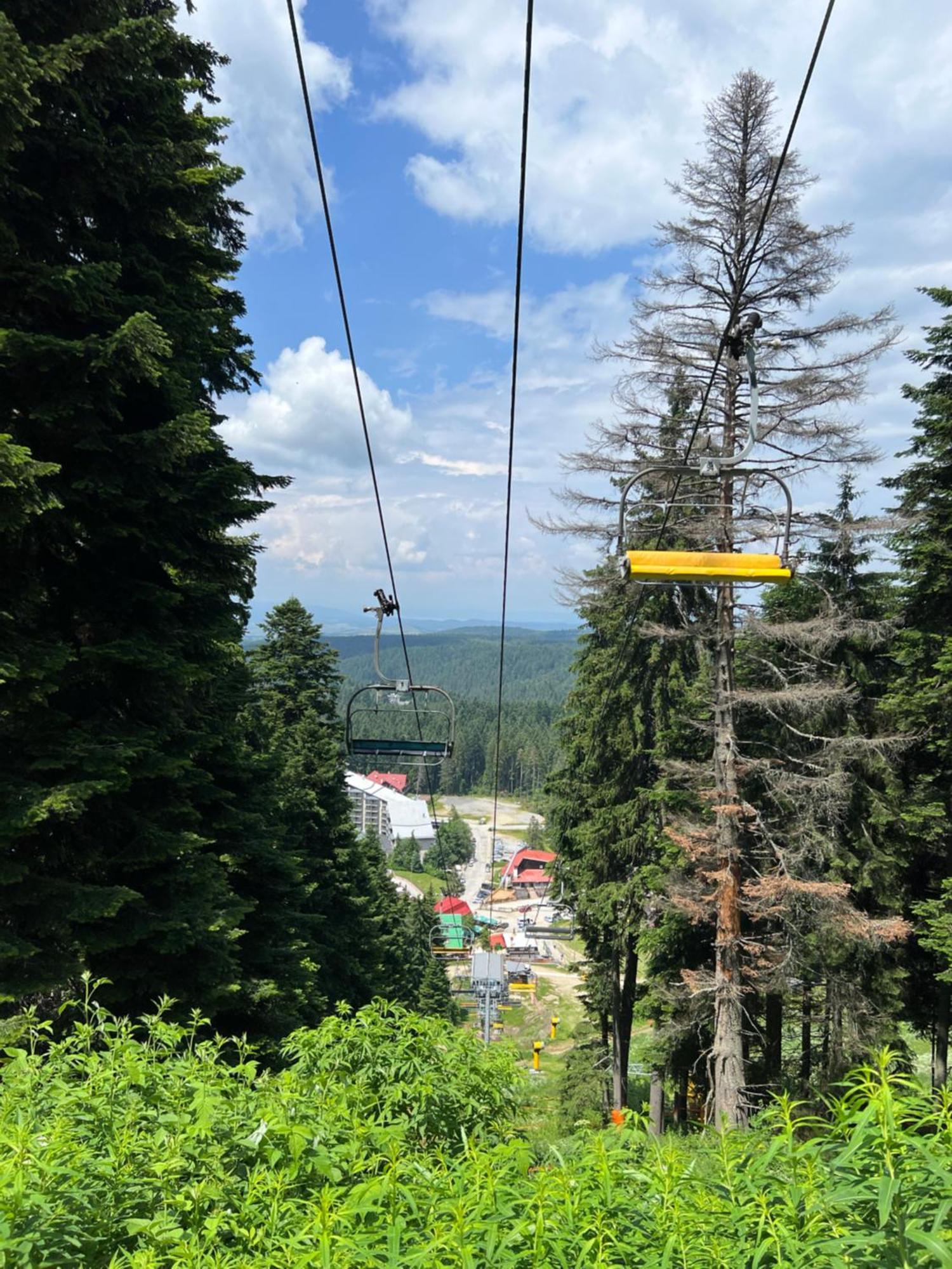 Arboro Borovets Gardens E68 Apartment Bagian luar foto